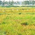 উপদেষ্টা মাহফুজের মাথায় বোতল নিক্ষেপ, অভিযুক্তকে খুঁজছে পুলিশ